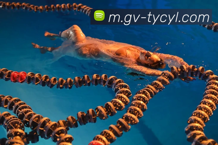 多媒体互动体验