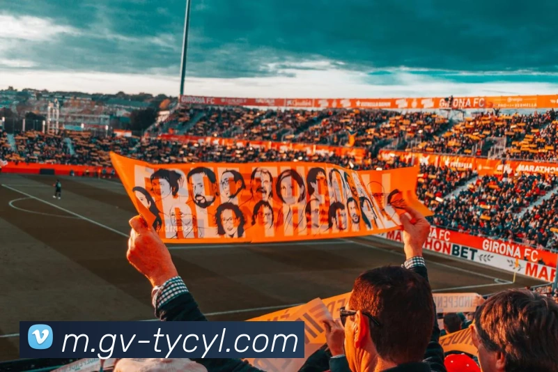 太阳城网站APP 体育赛事宣传图